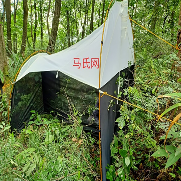 馬氏網